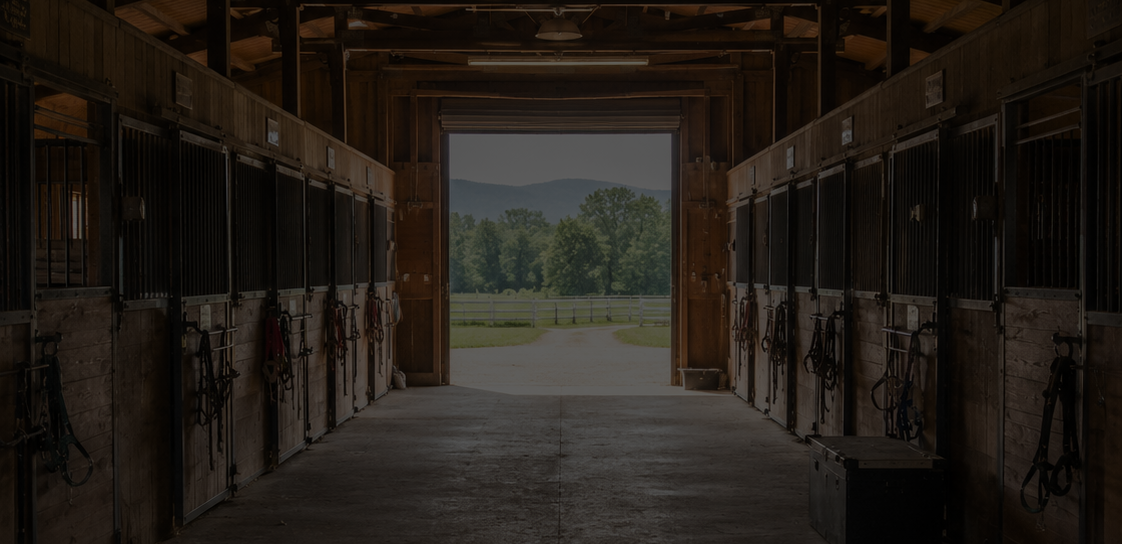 Long corridor of horse stables with a view of greenery at the end for Country Enough Western apparel