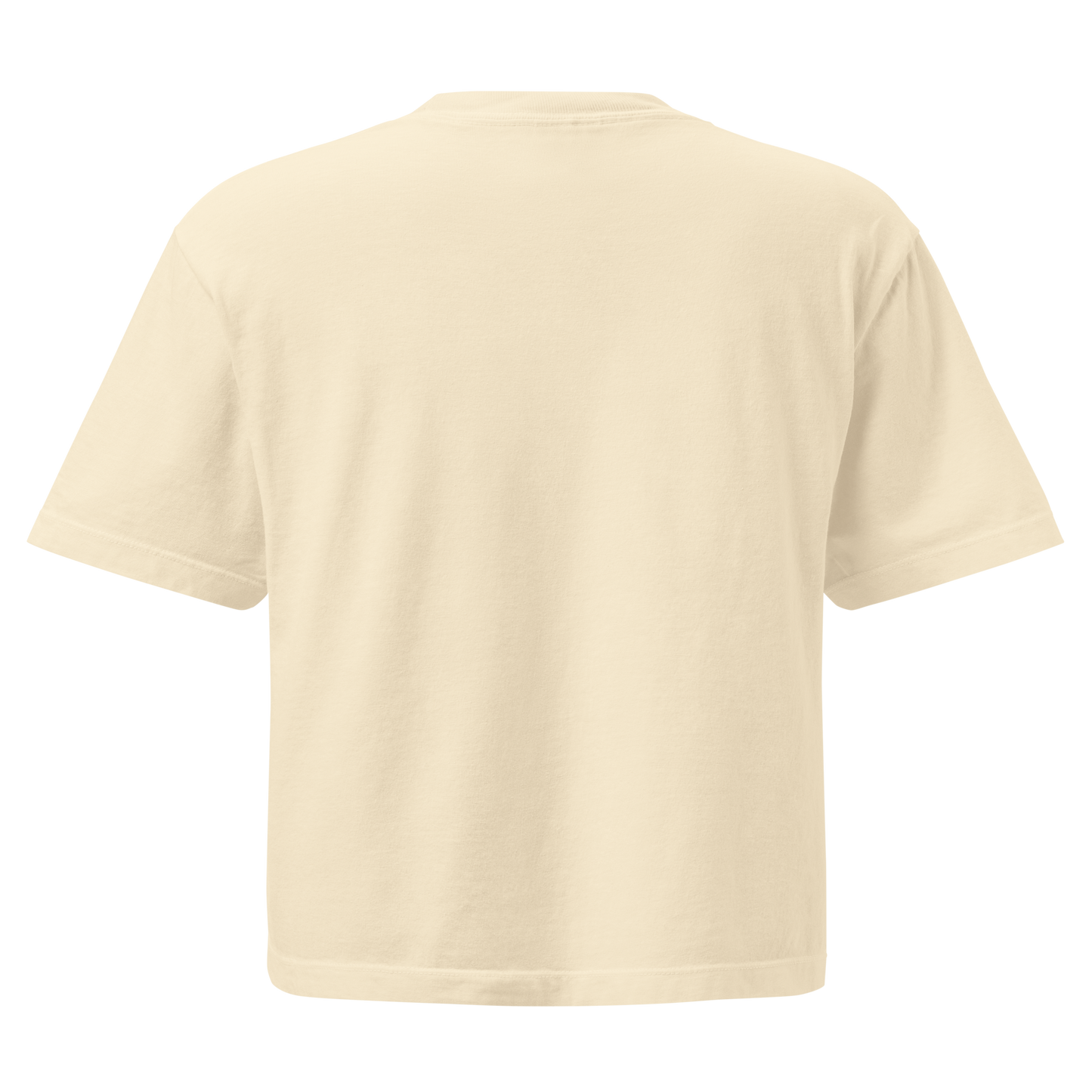 Ivory crop top with horseshoe, feathers, flower, and country enough text graphic #ivory