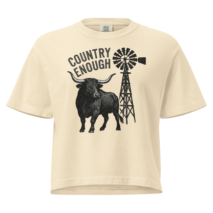 Ivory boxy t-shirt white longhorn, windmill and country enough in rope text graphic #ivory