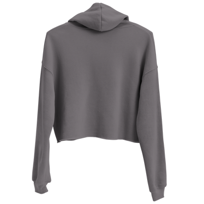 Gray crop hoodie with pastel graphic of bison, deer, desert landscape, and sun #gray